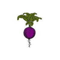 Project Roots logo - Similar company to Third Culture Kat