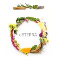 doTerra logo - Similar company to Doterra International Llc