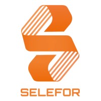 Selefor - Agenzia Per il Lavoro logo - Similar company to Noesi Evolution
