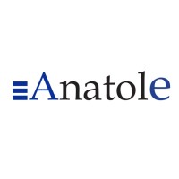 Anatole Business Consulting logo - Similar company to Tiny Tomato Design