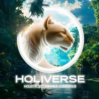 HOLIVERSE logo - Similar company to Armcom Communications Limited