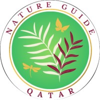 Nature Guide Qatar logo - Similar company to Qatar Industrial Foam & Furnishing