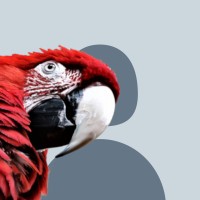 Presscast.Io