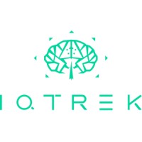IQTrek Consulting logo - Similar company to Raiosoft International