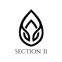 Section 31 logo - Similar company to Technoimaging
