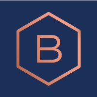Balthorne Security Solutions Ltd logo - Similar company to Basecurity