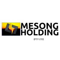 Mesong Holding (Pty) Ltd logo - Similar company to Premier Scale Services