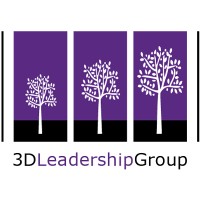 3D Leadership Group LLC logo - Similar company to Goodstone Group Llc