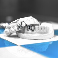 Wild Smiles logo - Similar company to Wildsmile