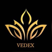 Vedex Inc logo - Similar company to Revus