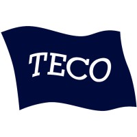 TECO FUEL CELL TECHNOLOGY logo - Similar company to Pani Clean,  Inc.