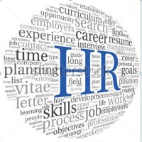 The HR Solution LLC logo - Similar company to The Training Solutions Co.