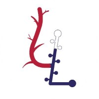 Levenberg Lab logo - Similar company to Itay&Beyond