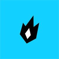 Flame Bros Studio logo - Similar company to Montoga Studio