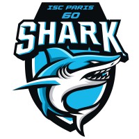 BDE Shark logo - Similar company to Bde Stellar