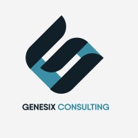 Genesix Consulting logo - Similar company to Nd Consulting