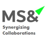 MetaStratand logo - Similar company to Zero Dots Capital