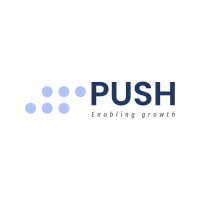 Push Consulting logo - Similar company to Thepush