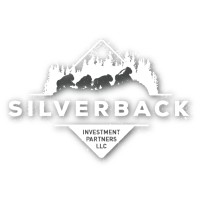 Silverback Investment Partners (SIPs) logo - Similar company to Aviation One