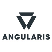 ANGULARIS GmbH logo - Similar company to Linkoper