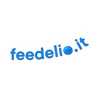 Feedelio.it logo - Similar company to Abm Broker