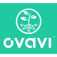OVAVI logo - Similar company to Rewired