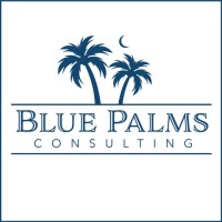 Blue Palms Consulting logo - Similar company to Blupalms