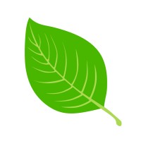 Fresh Logistics Limited logo - Similar company to Trend Logistics Llc