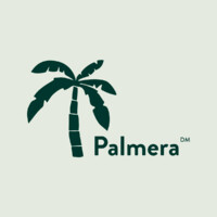 Palmera: Marketing Digital logo - Similar company to Wikot