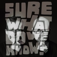 Sure What Do We Know Podcast logo - Similar company to Timber Ireland
