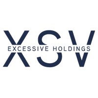 XSV Holdings logo - Similar company to Panacheeza