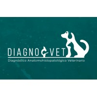diagnovet santa fe logo - Similar company to Diagnovet.Gr