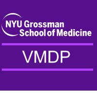 NYU Visiting Mentor Development Program logo - Similar company to Krepe Silks