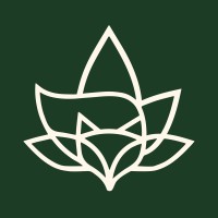 BeFox - Organic Detox logo - Similar company to Black Photon