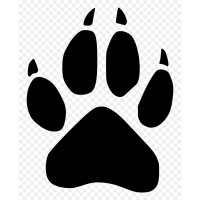 Wolfpack Cancer Association