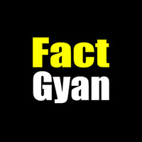 FactGyan logo - Similar company to Tech Scholar