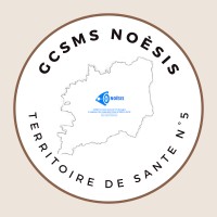 GCSMS NOESIS logo - Similar company to Emji 35
