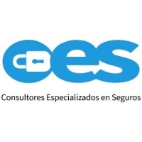 CES Consultores Especializados en Seguros logo - Similar company to Promty