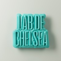 Lab de Chelsea logo - Similar company to Teves–Bejar