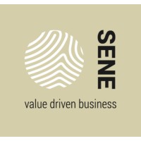 Sene logo - Similar company to Navaio It Security