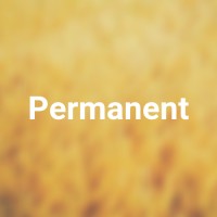Permanent logo - Similar company to Namesake Creations