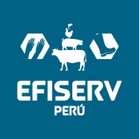 Efiserv Perú logo - Similar company to Transportes Briane