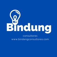 Bindung Consultores logo - Similar company to Raso Studio