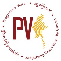 Progressive Voice logo - Similar company to Just Governance Group