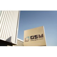 DSM drive.speak.move. Service GmbH logo - Similar company to Rmt Rehamed Technology Gmbh
