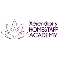 Xerendipity Academy logo - Similar company to Cdo Como | Compagnia Delle Opere Como