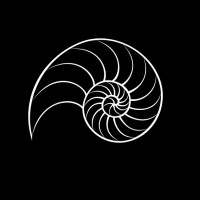 Rapan.Studio logo - Similar company to Frankie Creative®