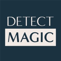 DETECT MAGIC logo - Similar company to Harper'S Playground