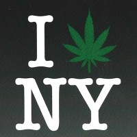 The 420 Agency logo - email format related to Utensil Studio