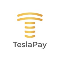TeslaPay logo - Similar company to Fincause